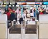 L’incidente del bagaglio in aeroporto lascia i viaggiatori a terra per due giorni | Jackson Progress-Argus The Street Partner Contenuto