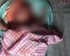 Cane massacra a morte un bambino di 5 mesi in una casa di Telangana