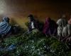 Stagione uggiosa per l’oro verde etiope al mercato del khat