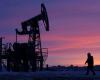 Petrolio stabile mentre gli investitori tengono d’occhio l’inflazione statunitense, rapporto OPEC