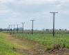 Il Fondo per l’elettrificazione rurale ha lunghi anni davanti a Santa Fe