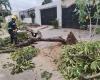 A causa dei forti venti; L’ufficio del sindaco di Santa Cruz ha assistito a cinque casi di emergenza