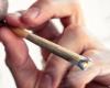 L’industria tedesca della cannabis inizia a fiorire – DW – 16/06/2024
