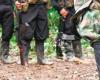 Otto presunti membri dei dissidenti delle FARC si sono arresi a Cauca