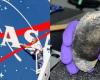 La NASA deve affrontare un’insolita causa da un milione di dollari: quanti soldi chiedono?