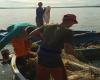 I pescatori completano la consegna semestrale in acquacoltura