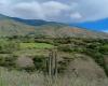Valle del Cauca leader nella sostenibilità ambientale in Colombia