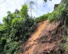 Le piogge hanno generato frane e cadute di alberi a Manizales